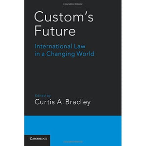 Custom's Future: International Law in a Changing World