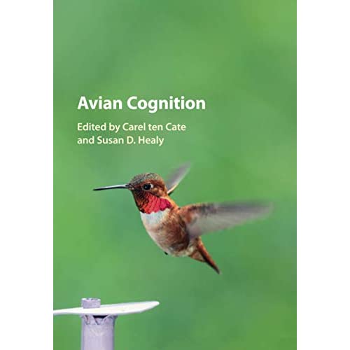 Avian Cognition