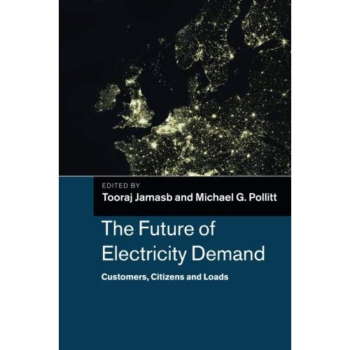 The Future of Electricity Demand (Department of Applied Economics Occasional Papers)
