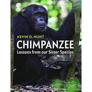 Chimpanzee: Lessons from our Sister Species