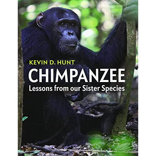 Chimpanzee: Lessons from our Sister Species