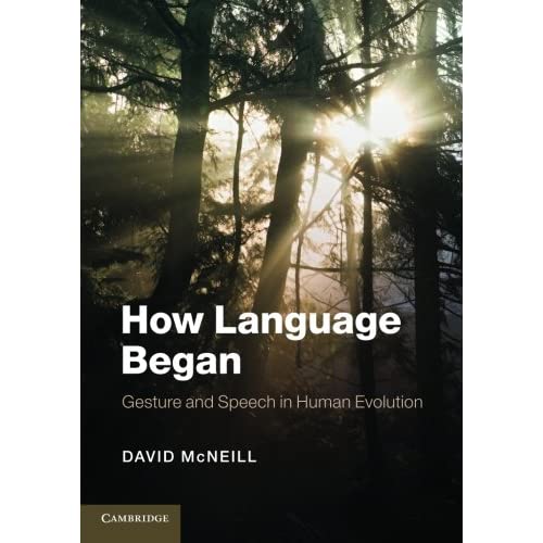 How Language Began: Gesture and Speech in Human Evolution (Approaches to the Evolution of Language)
