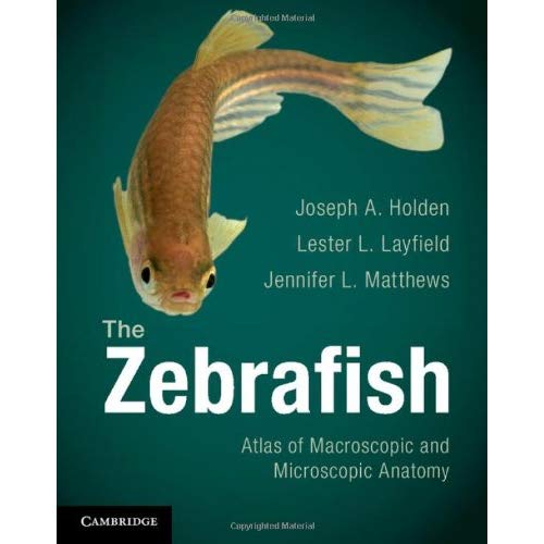 The Zebrafish: Atlas Of Macroscopic And Microscopic Anatomy