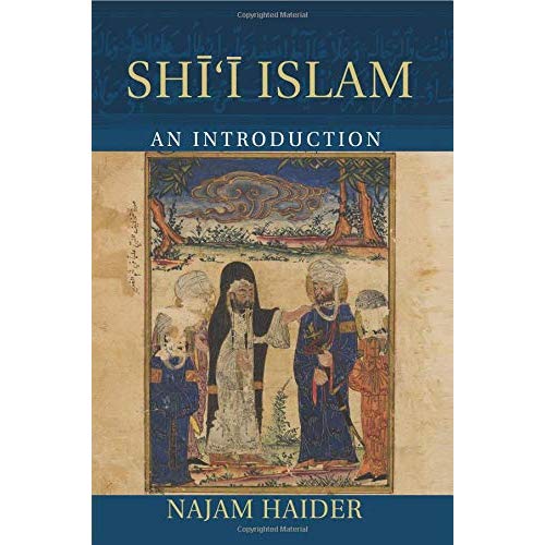 Shi'i Islam: An Introduction (Introduction to Religion)