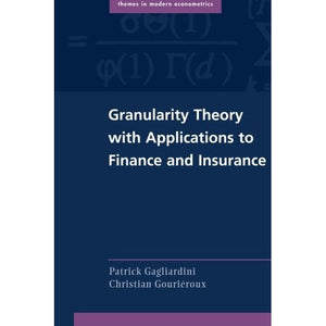 Granularity Theory with Applications to Finance and Insurance (Themes in Modern Econometrics)