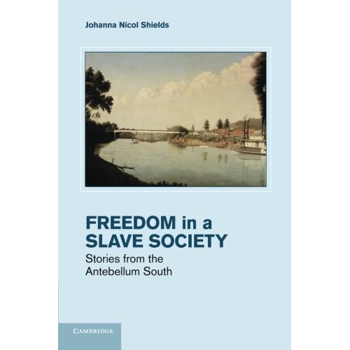 Freedom in a Slave Society: Stories From The Antebellum South (Cambridge Studies on the American South)