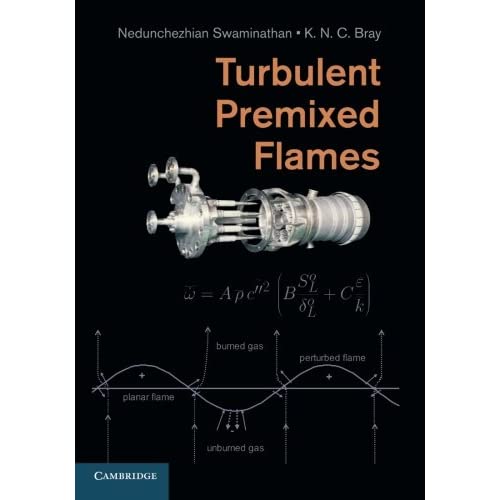 Turbulent Premixed Flames