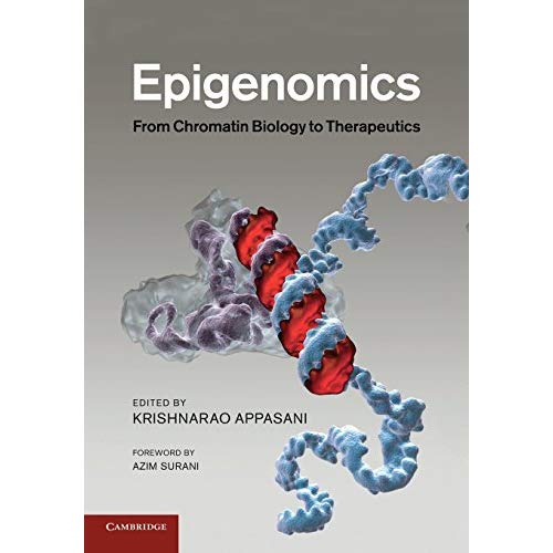 Epigenomics: From Chromatin Biology to Therapeutics