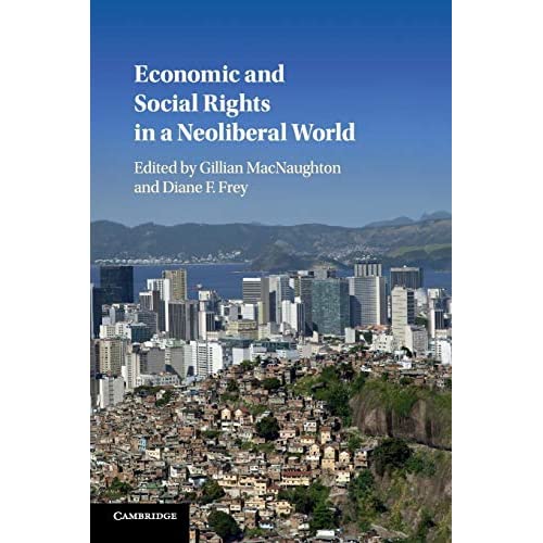 Economic and Social Rights in a Neoliberal World