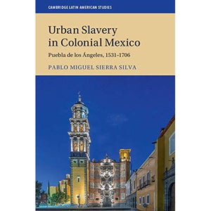 Urban Slavery in Colonial Mexico: Puebla de los Ángeles, 1531–1706: 109 (Cambridge Latin American Studies, Series Number 109)