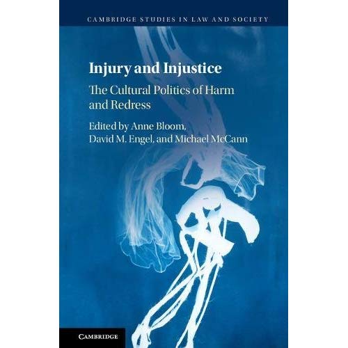 Injury and Injustice: The Cultural Politics of Harm and Redress (Cambridge Studies in Law and Society)