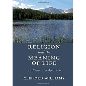 Religion and the Meaning of Life: An Existential Approach (Cambridge Studies in Religion, Philosophy, and Society)