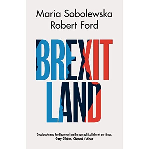 Brexitland: Identity, Diversity and the Reshaping of British Politics