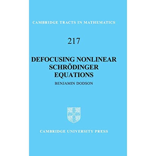 Defocusing Nonlinear Schrödinger Equations (Cambridge Tracts in Mathematics)