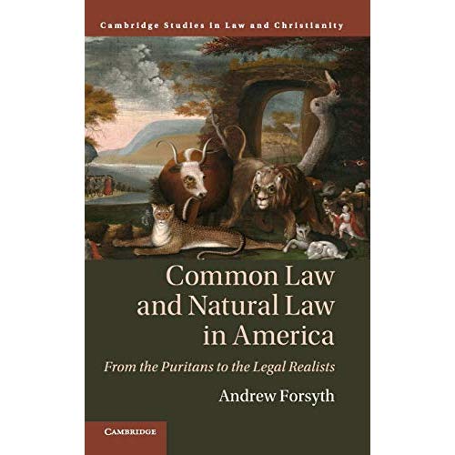 Common Law and Natural Law in America: From the Puritans to the Legal Realists (Law and Christianity)