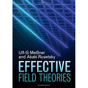 Effective Field Theories