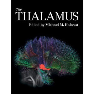 The Thalamus