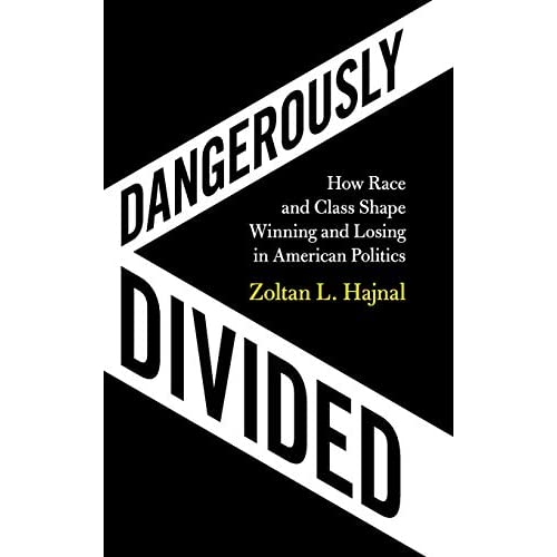 Dangerously Divided: How Race and Class Shape Winning and Losing in American Politics