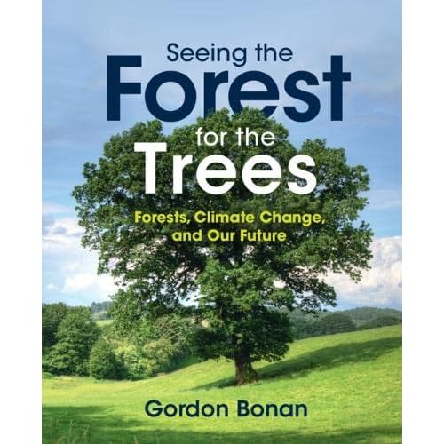 Seeing the Forest for the Trees: Forests, Climate Change, and Our Future