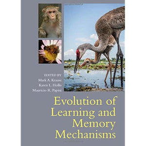 Evolution of Learning and Memory Mechanisms