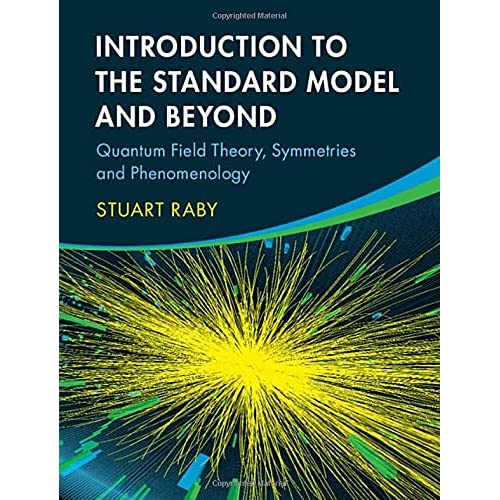 Introduction to the Standard Model and Beyond: Quantum Field Theory, Symmetries and Phenomenology