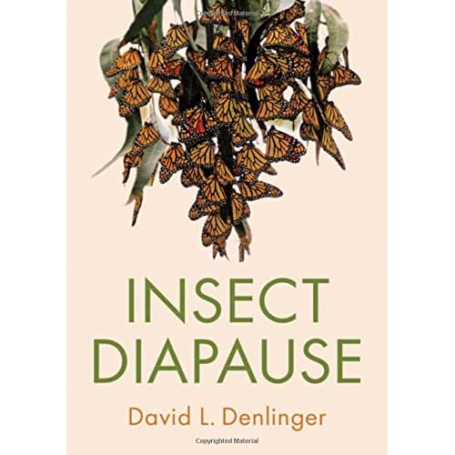 Insect Diapause