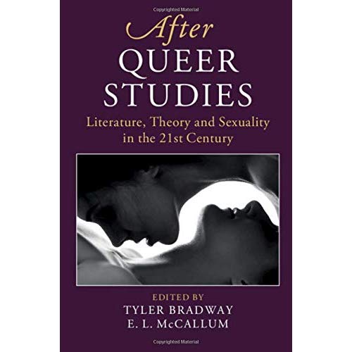 After Queer Studies (After Series)