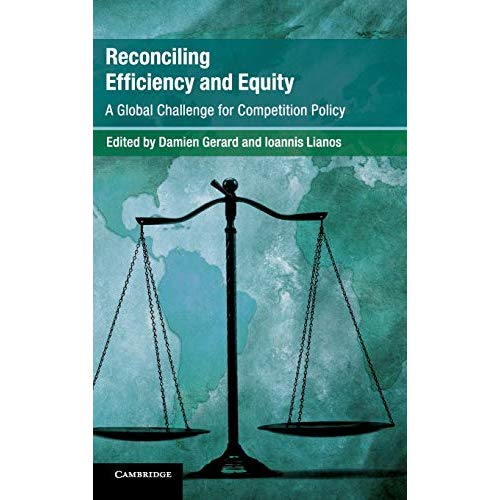 Reconciling Efficiency and Equity: A Global Challenge for Competition Policy (Global Competition Law and Economics Policy)