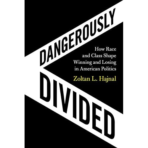 Dangerously Divided: How Race and Class Shape Winning and Losing in American Politics