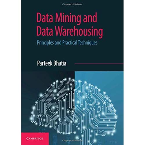 Data Mining and Data Warehousing: Principles and Practical Techniques