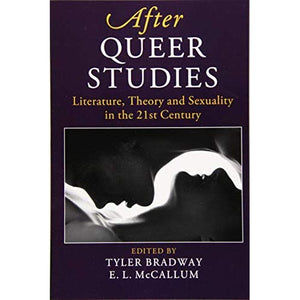 After Queer Studies: Literature, Theory and Sexuality in the 21st Century (After Series)