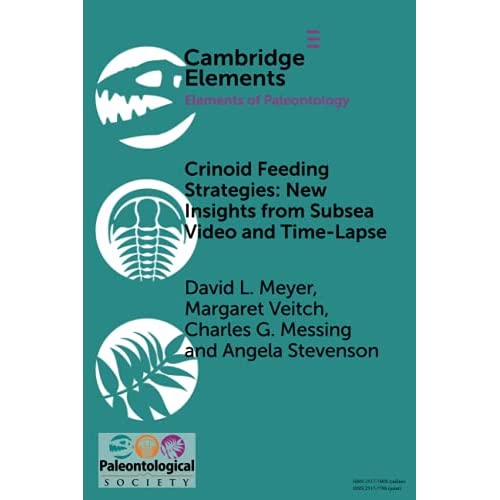 Crinoid Feeding Strategies: New Insights From Subsea Video And Time-Lapse (Elements of Paleontology)