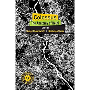 Colossus: The Anatomy of Delhi: 15 (South Asia in the Social Sciences, Series Number 15)