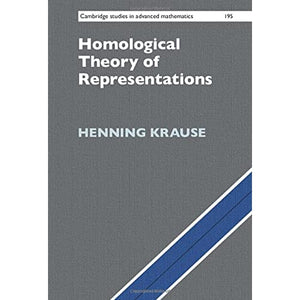 Homological Theory of Representations: 195 (Cambridge Studies in Advanced Mathematics, Series Number 195)