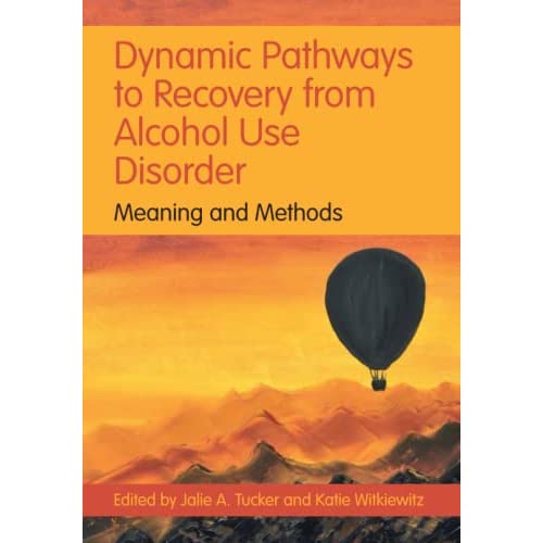 Dynamic Pathways to Recovery from Alcohol Use Disorder: Meaning and Methods