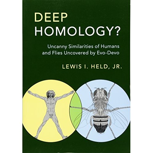 Deep Homology?: Uncanny Similarities of Humans and Flies Uncovered by Evo-Devo