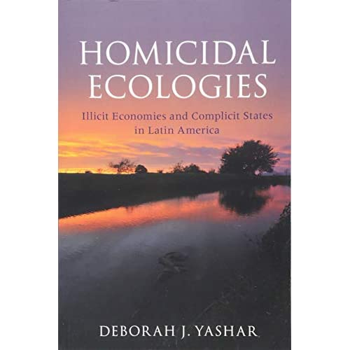 Homicidal Ecologies: Illicit Economies and Complicit States in Latin America (Cambridge Studies in Comparative Politics)