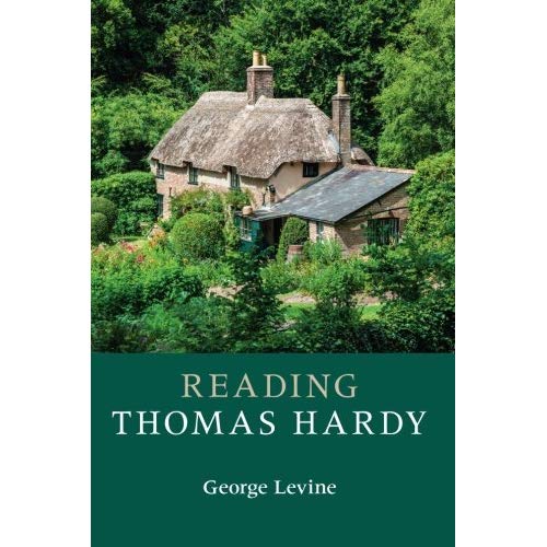 Reading Thomas Hardy (Reading Writers and their Work)