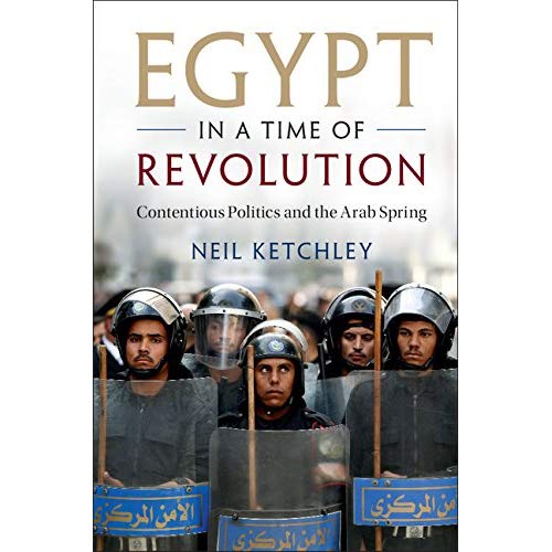 Egypt in a Time of Revolution (Cambridge Studies in Contentious Politics)
