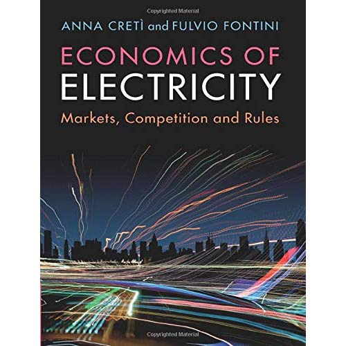 Economics of Electricity: Markets, Competition and Rules