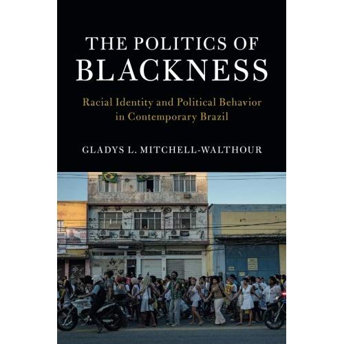 The Politics of Blackness: Racial Identity and Political Behavior in Contemporary Brazil (Cambridge Studies in Stratification Economics: Economics and Social Identity)