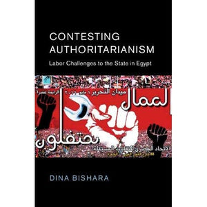 Contesting Authoritarianism (Cambridge Middle East Studies)