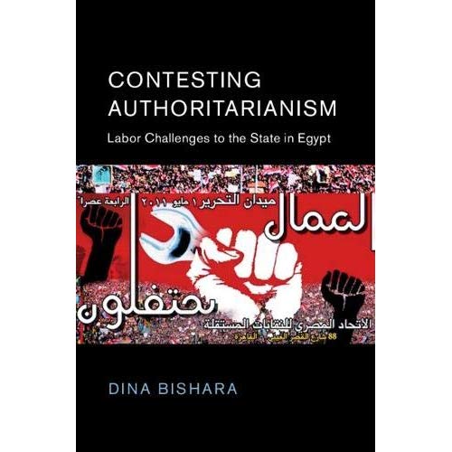 Contesting Authoritarianism (Cambridge Middle East Studies)