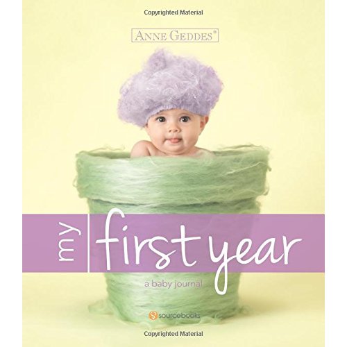 Anne Anne Geddes My First Year Sourcebooks Inc Hardback 9781402298134