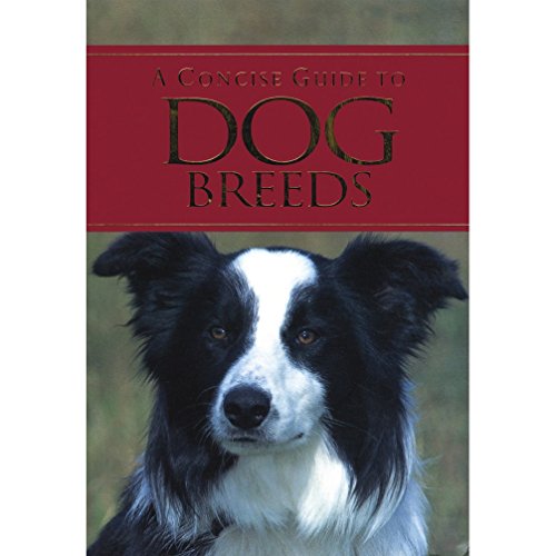 A Concise Guide to Dog Breeds