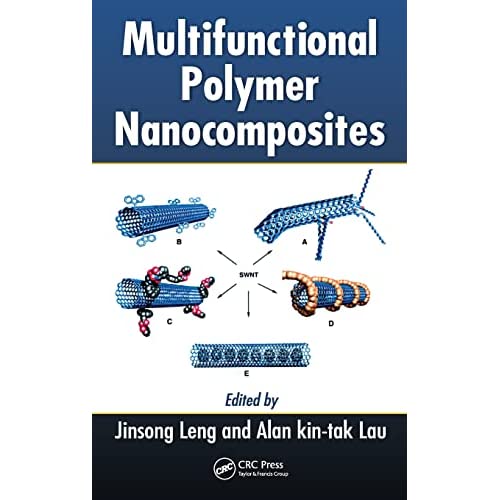 Multifunctional Polymer Nanocomposites