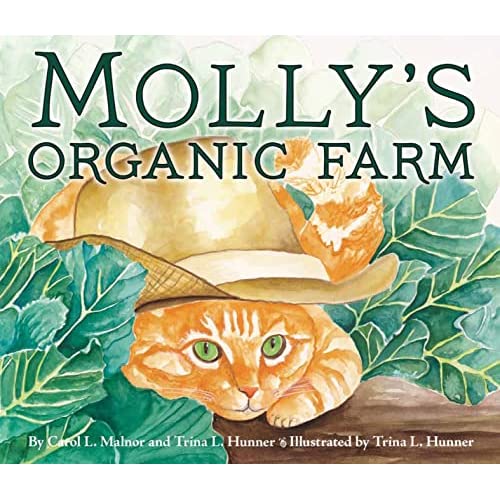 Molly's Organic Farm