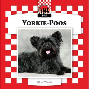 Yorkie-Poos (Dogs)