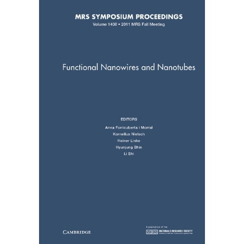 Functional Nanowires and Nanotubes: Volume 1408 (MRS Proceedings)