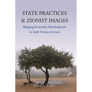 State Practices and Zionist Images: Shaping Economic Development in Arab Towns in Israel (Human Rights in Context)